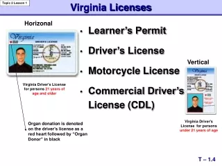 Learner’s Permit Driver’s License Motorcycle License Commercial Driver’s License (CDL)