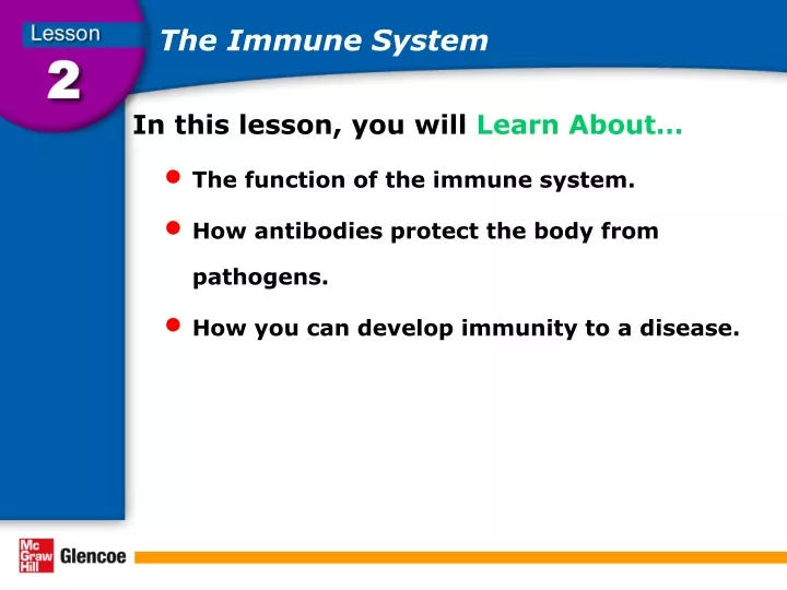 the immune system