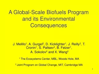 A Global-Scale Biofuels Program and its Environmental Consequences