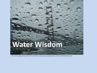 Water Wisdom