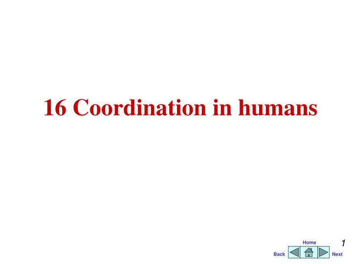 16 coordination in humans