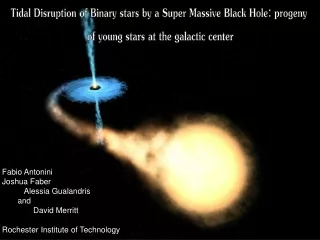 Tidal Disruption of Binary stars by a Super Massive Black Hole: progeny