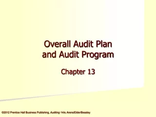 Overall Audit Plan and Audit Program