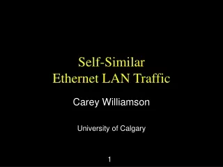 Self-Similar  Ethernet LAN Traffic