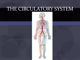 The Circulatory System