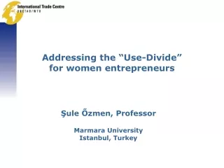 Addressing the “Use-Divide” for  women  entrepreneurs