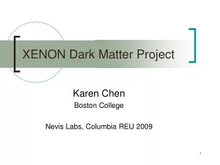 XENON Dark Matter Project