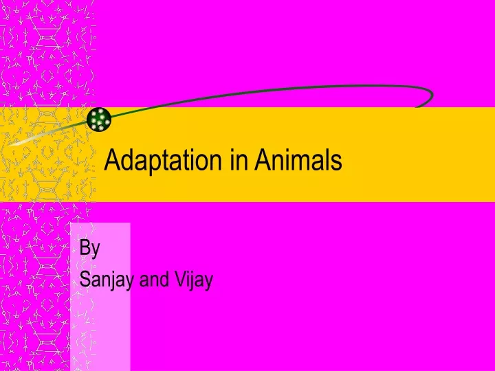 adaptation in animals