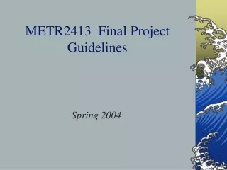 METR2413  Final Project Guidelines