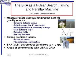Massive Pulsar Surveys: finding the best for gravity science Complete Galactic census