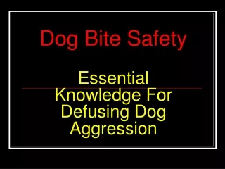 Dog Bite Safety Essential Knowledge For Defusing Dog Aggression