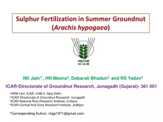 Sulphur Fertilization in Summer Groundnut ( Arachis hypogaea )