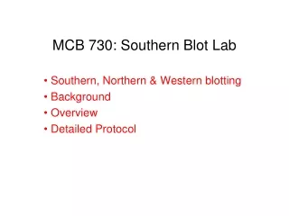MCB 730: Southern Blot Lab