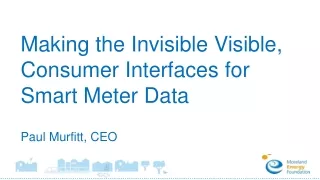 Making the Invisible Visible, Consumer Interfaces for Smart Meter Data Paul Murfitt, CEO