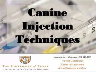 Canine Injection Techniques