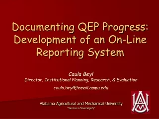 Documenting QEP Progress: Development of an On-Line Reporting System