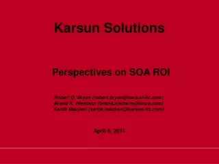 Perspectives on SOA ROI