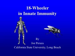 18-Wheeler in Innate Immunity