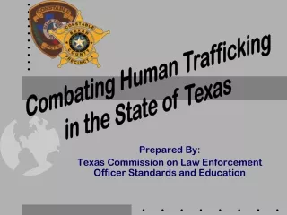 Prepared By:  Texas Commission on Law Enforcement Officer Standards and Education