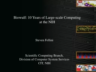Biowulf: 10 Years of Large-scale Computing  at the NIH