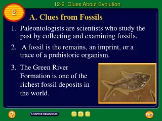 A. Clues from Fossils