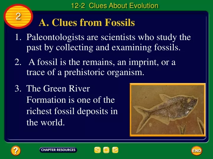 12 2 clues about evolution