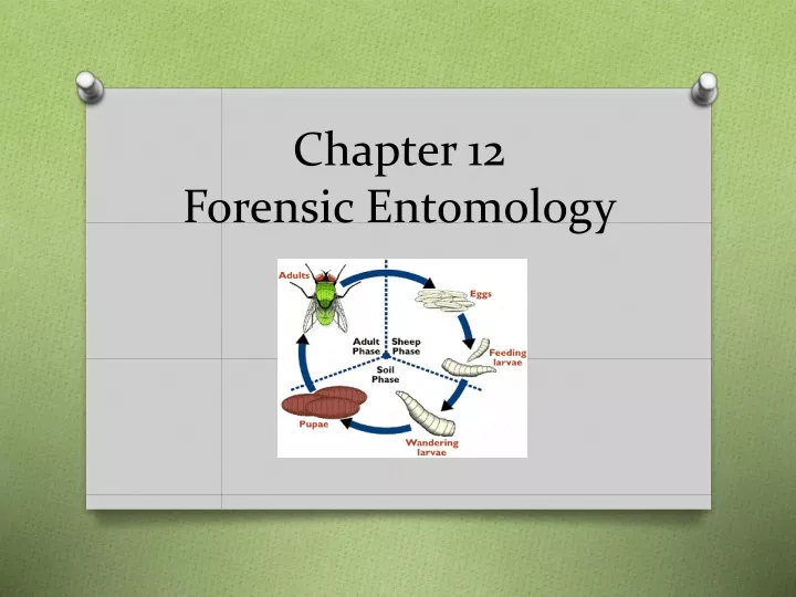 chapter 12 forensic entomology