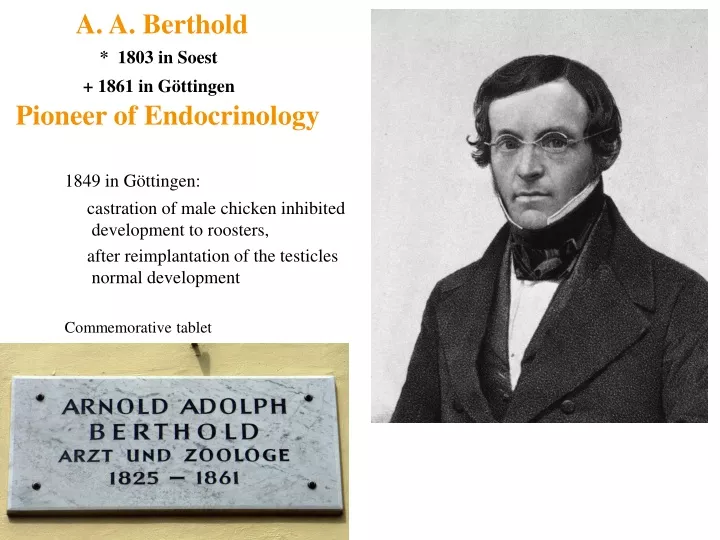 a a berthold 1803 in soest 1861 in g ttingen pioneer of endocrinology