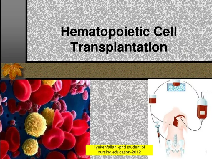hematopoietic cell transplantation