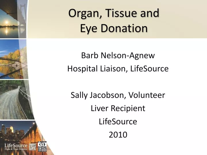 organ tissue and eye donation