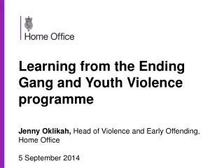 Learning from the Ending Gang and Youth Violence programme