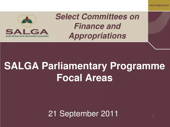 salga parliamentary programme focal areas