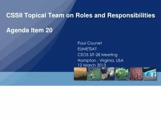 CSSII Topical Team on Roles and Responsibilities Agenda Item 20