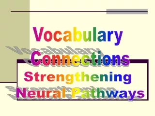 Vocabulary  Connections