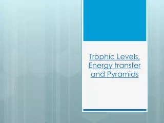 Trophic  Levels, Energy transfer and Pyramids