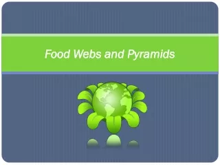 Food Webs and Pyramids