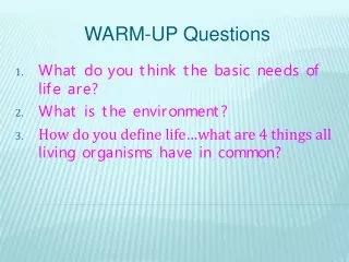 WARM-UP Questions