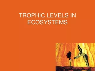 TROPHIC LEVELS IN ECOSYSTEMS