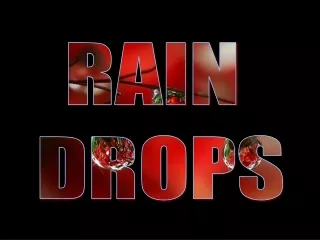 RAIN  DROPS