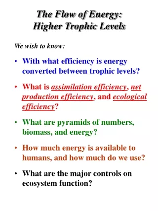 The Flow of Energy:   Higher Trophic Levels