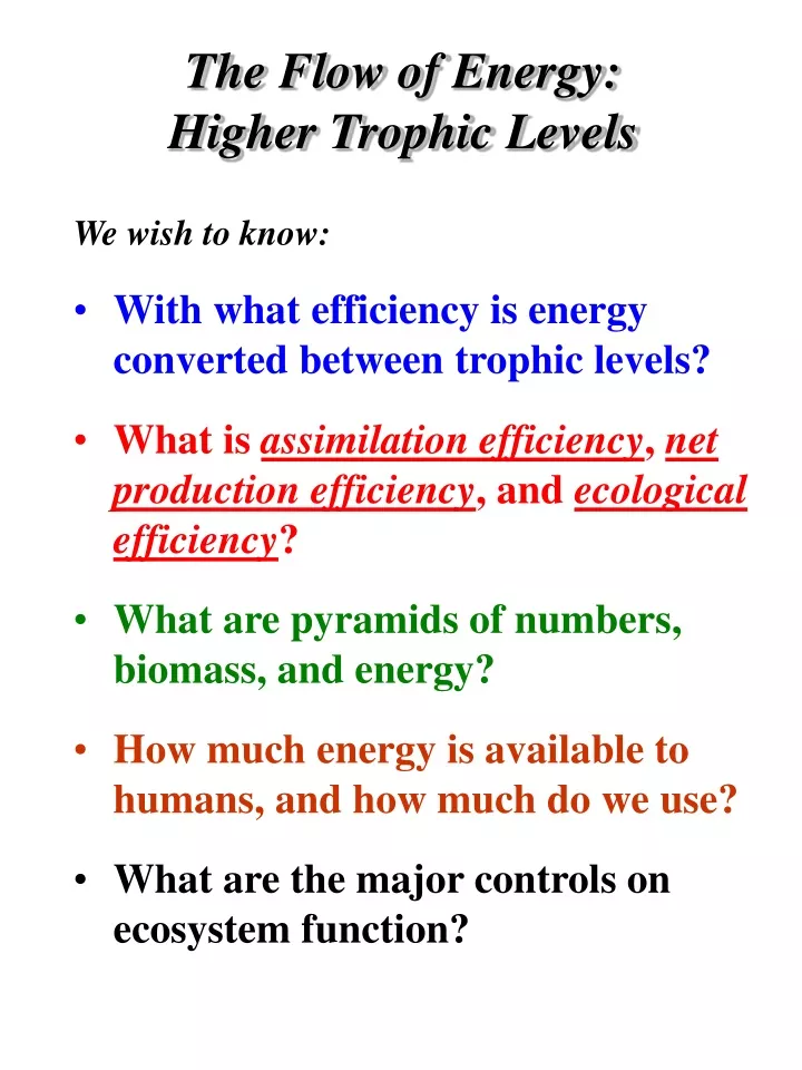 the flow of energy higher trophic levels