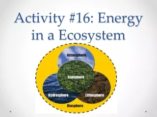 Activity #16: Energy in a Ecosystem