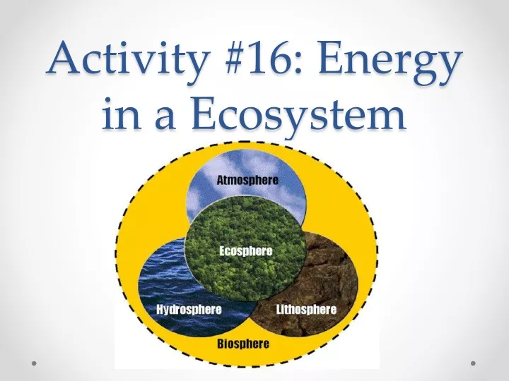 activity 16 energy in a ecosystem