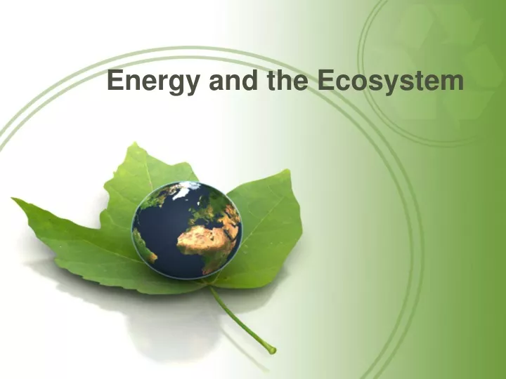 energy and the ecosystem