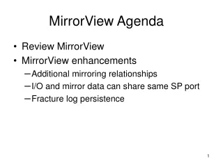 MirrorView Agenda