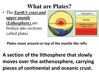 What are Plates?