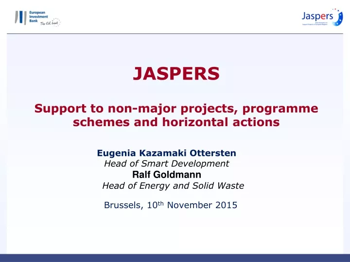 jaspers support to non major projects programme schemes and horizontal actions