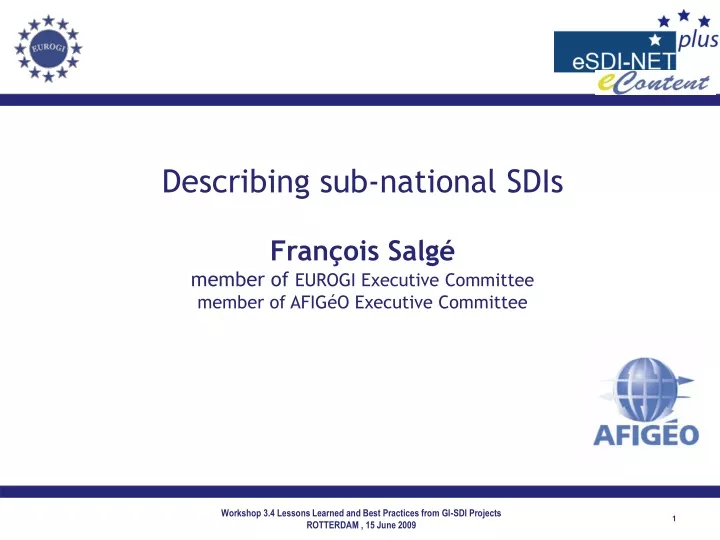 describing sub national sdis fran ois salg member