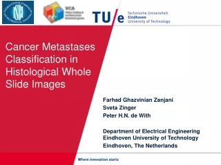 Cancer Metastases Classification in Histological Whole Slide Images