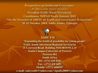 perspectives on youth and governance by muzwakhe